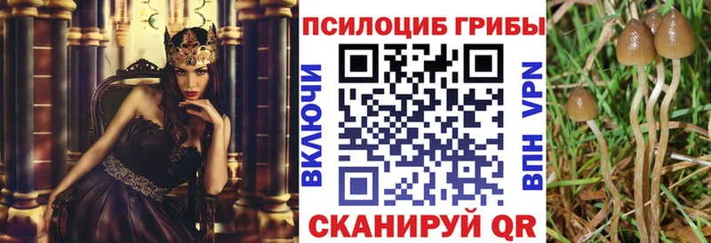 Псилоцибиновые грибы ЛСД  Алейск 