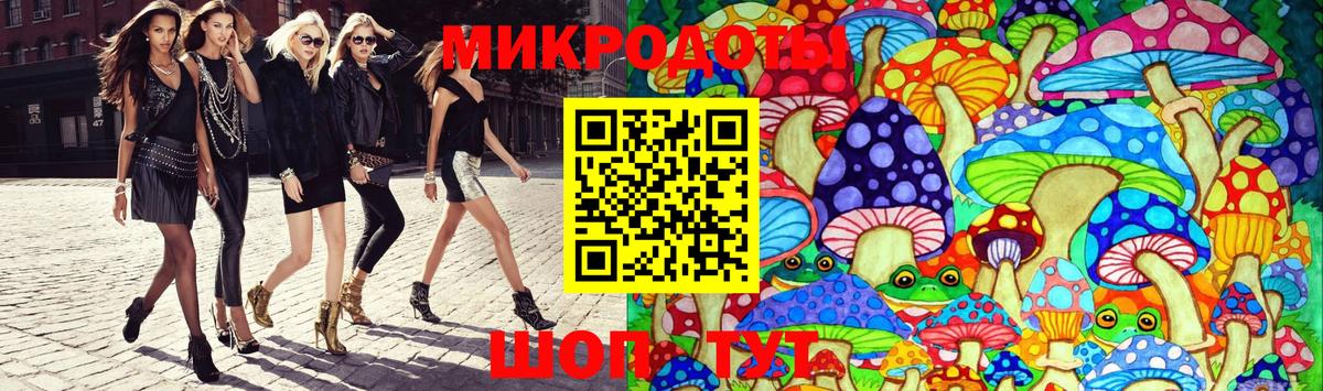 Псилоцибиновые грибы Psilocybine cubensis Алейск