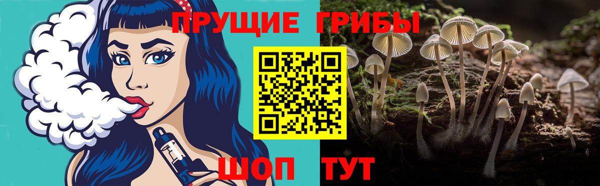 Алейск  Псилоцибиновые грибы прущие грибы  Вход с VPN  Галлюциногенные грибы прущие грибы 