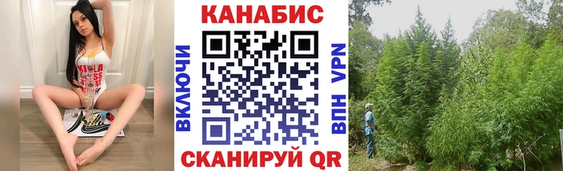 kraken как зайти  Алейск  МАРИХУАНА семена 