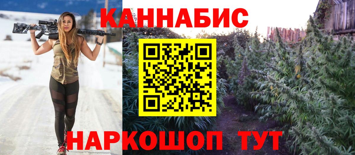 Марихуана гибрид Алейск